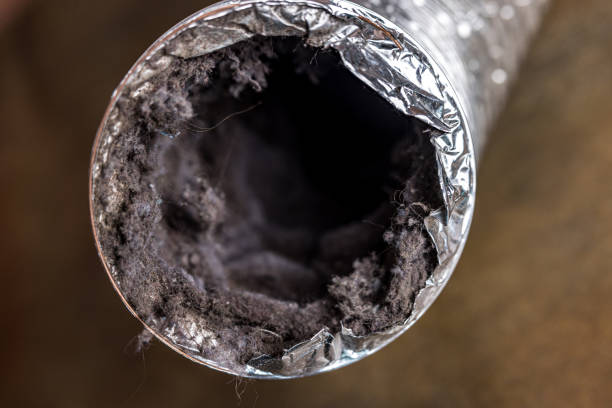 Best Air Duct Cleaning Near Me  in Youngtown, AZ