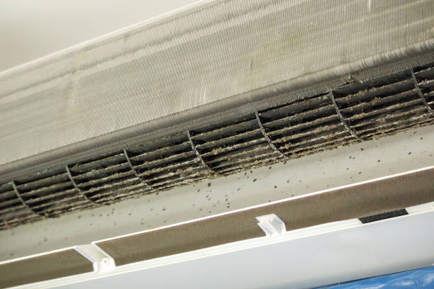 Ductwork Cleaning Services in Youngtown, AZ